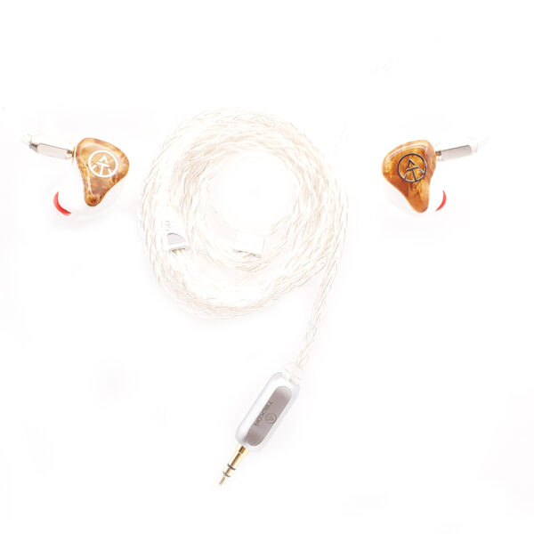 IEM-S2-91 Fashion HiFi Dynamic Balanced Armatured IEM Bluetooth Earphones - Image 6